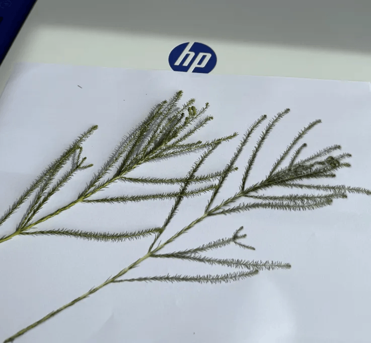 帶了臺(tái)打印機(jī)出國<strong></p>
<p>打印機(jī)
</strong>，好方便?。?！:打印機(jī)
